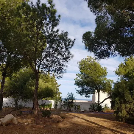 Cortijo 80 * Las Negras
